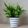 Black & White Basket Pot Planter