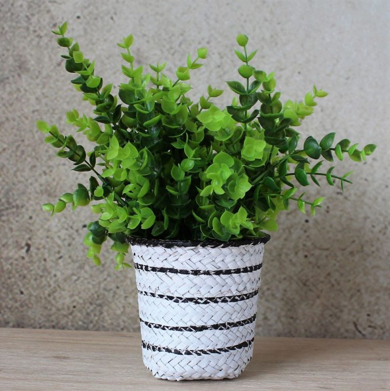 Black & White Basket Pot Planter