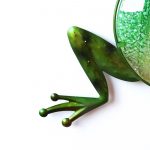 Climbing Green Tree Frog Metal Wall Art_4