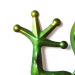 Climbing Green Tree Frog Metal Wall Art_6