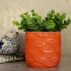 Orange Coral Eye Ceramic Pot Planter