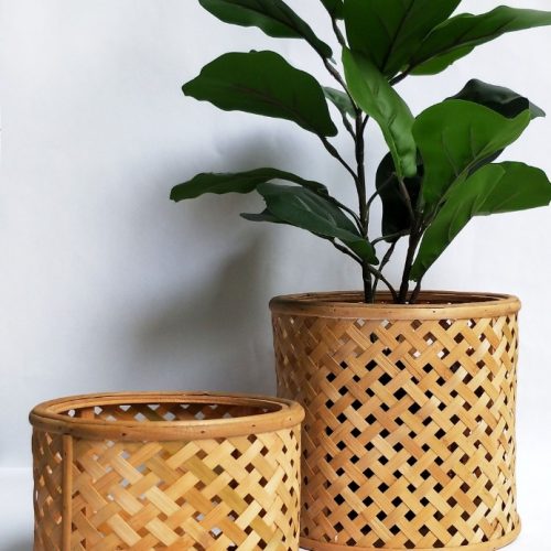 Modern Cane Weave Natural Pot Planters