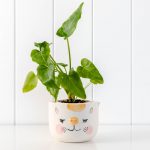 Cheeky Cat Ceramic Pot Planter - White, 10x7cm