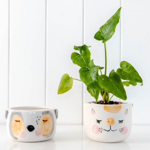 Cheeky Cat Ceramic Pot Planter