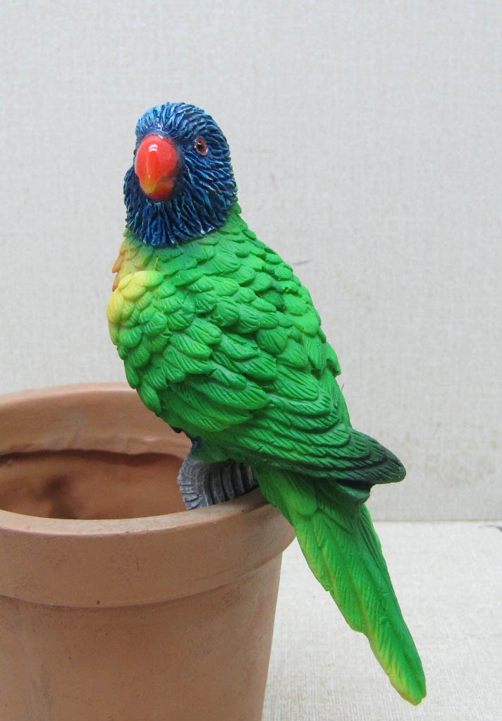 Bird Pot Sitter - Australian Lorikeet Parrot