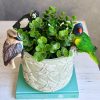 Magpie Kookaburra Lorikeet Bird Pot Sitter - Set of 3