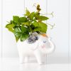 Blushing White Elephant Ceramic Pot Planter