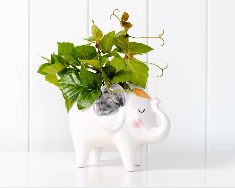 Blushing White Elephant Ceramic Pot Planter