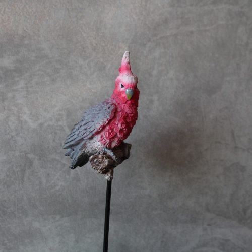 Australian Pink Galah Bird Pot Planter Sitter
