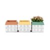 Set of 3 Home Shape Terracotta Pot Planter