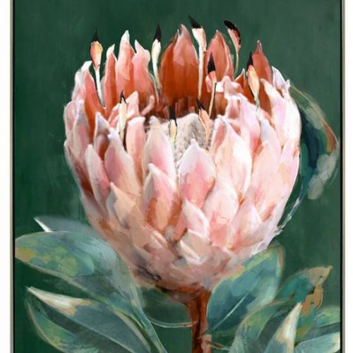 Pink Green Protea Flower Framed Canvas Wall Art