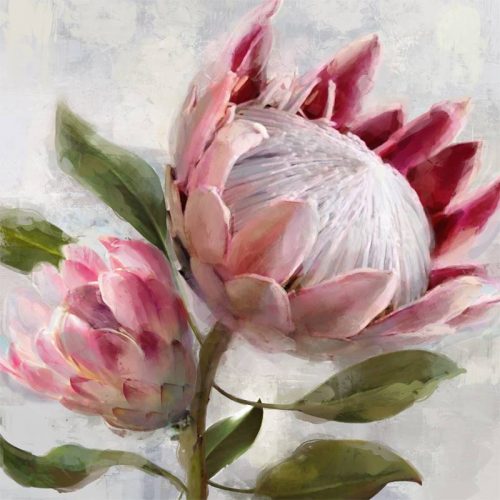 Pink Protea Bud Flower Framed Canvas Print Wall Art