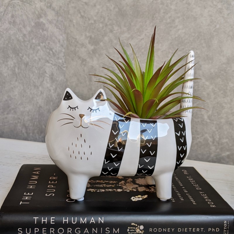 Black Stripes Cat Ceramic Planter Pot
