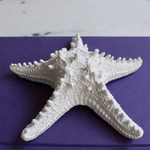 Coastal White Starfish Decor Ornament - Set of 2