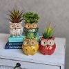 Colourful Owl Ceramic Pot Planter - Set of 4