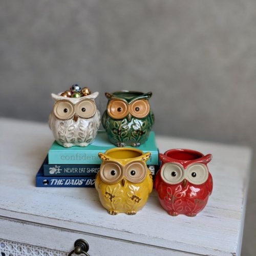 Colourful Owl Ceramic Pot Planter - Set of 4