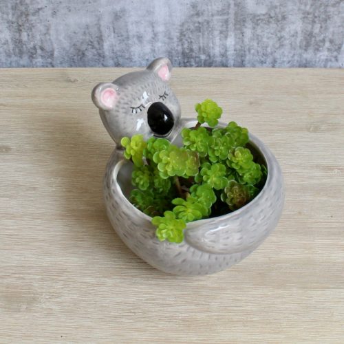 Grey Koala Ceramic Pot Planter