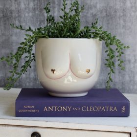 Nude Lady Boob Ceramic Pot Planter