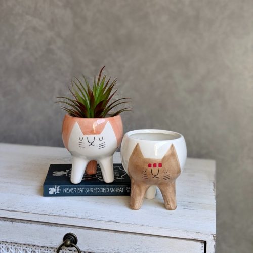 Pink Brown Kitty Cat Ceramic Pot
