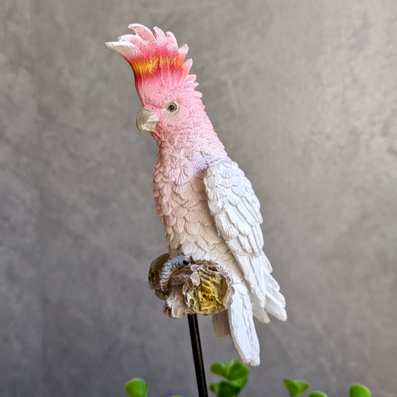 Pink Cockatoo Pot Sitter