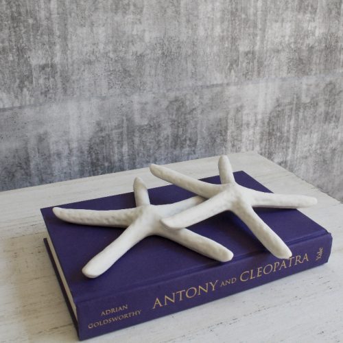 Add a little touch of coastal-inspired decor to your home with the Coastal White Starfish Decor Ornament - Set of 2. Product Features: Stunning Coastal White Starfish Decor Ornament - Set of 2 Made of ceramic Perfect to keep on hallway table, console or study table with or without other home accents Compliments Hamptons and Coastal theme of decor Product Specifications: Material: Ceramic Size : 18 x 18 x 3cm Color: White (As Pictured)