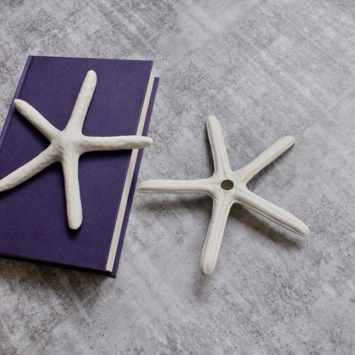 Add a little touch of coastal-inspired decor to your home with the Coastal White Starfish Decor Ornament - Set of 2. Product Features: Stunning Coastal White Starfish Decor Ornament - Set of 2 Made of ceramic Perfect to keep on hallway table, console or study table with or without other home accents Compliments Hamptons and Coastal theme of decor Product Specifications: Material: Ceramic Size : 18 x 18 x 3cm Color: White (As Pictured)
