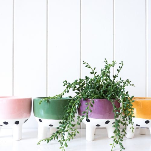 Band and Spots Ceramic Footed Pot Planter