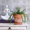 Herb Planter With Saucer