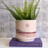 Sunrise Pink Horizon Ceramic Pot Planter