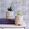 White Sheep Succulent Planters - Set of 2