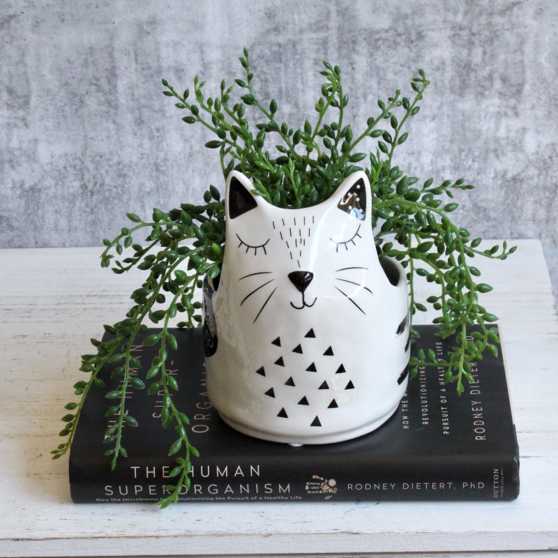 Black White Cat Planter