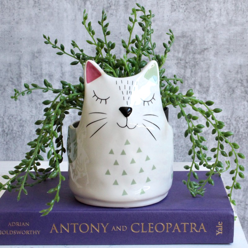 Colourful Kitty Cat Planter Pot