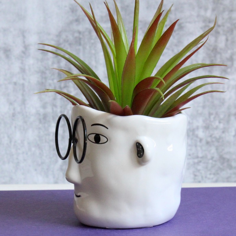Small Men Face Planter With Glasses
