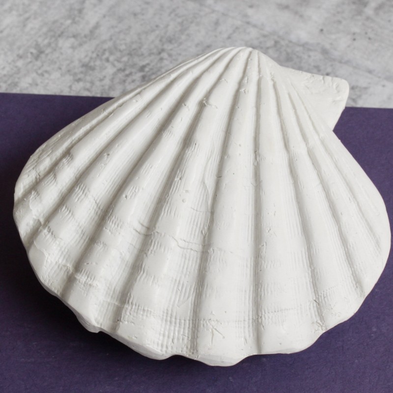White Poly Sea Shell Ornament