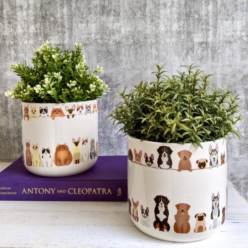 Cats and Dogs Planter Pot