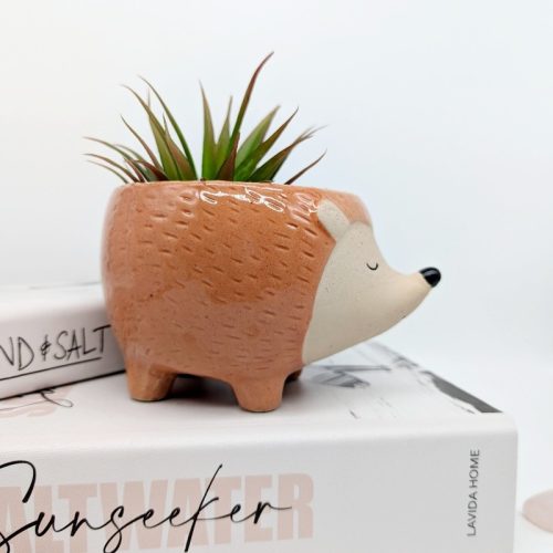 Orange Hedgehog Ceramic Planter Pot