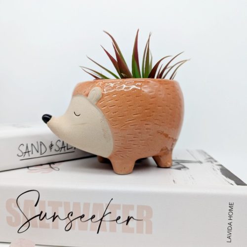 Orange Hedgehog Ceramic Planter Pot