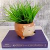 Orange Hedgehog Planter Pot