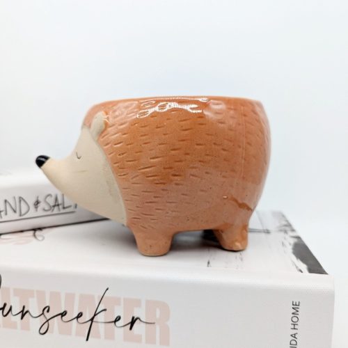 Orange Hedgehog Ceramic Planter Pot