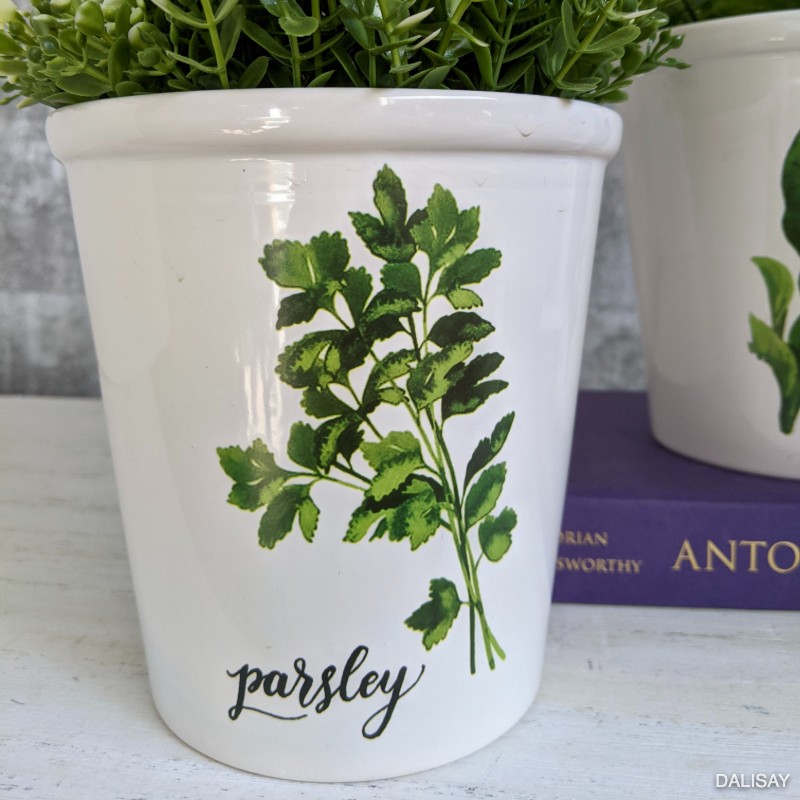 Parsley Herb Planter Pot