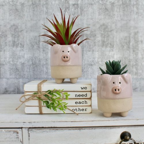 Pink Pig Succulent Planter Pot - Set of 2