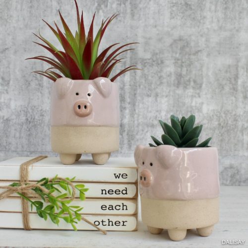 Pink Pig Succulent Planter Pot - Set of 2