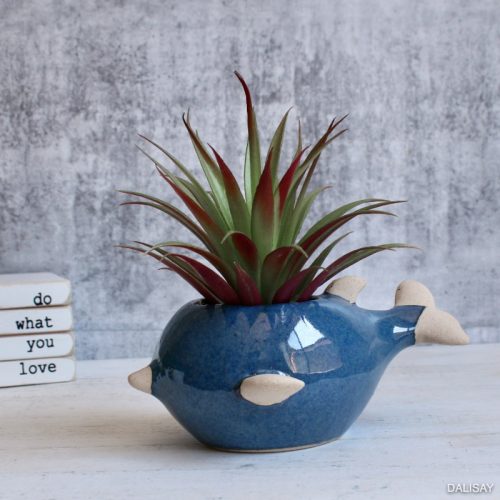 Blue Fish Succulent Planter Pot