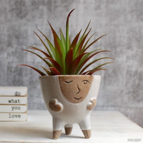 Funny Little Person Succulent Planter Pot