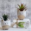 Natural White Cat Succulent Planter Pot