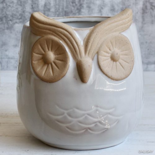 Natural White Owl Succulent Pot Planter