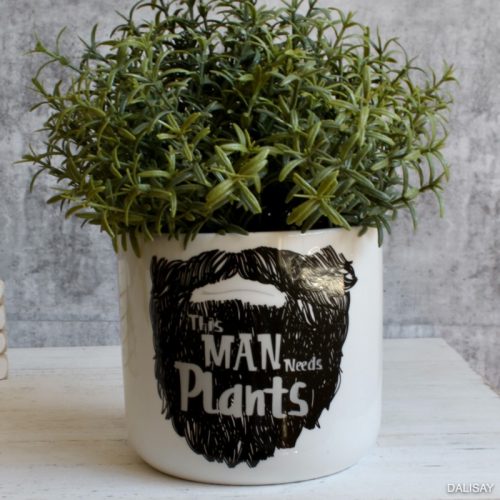 Plant Man Beard Planter Pot