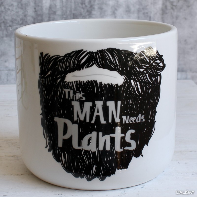 Plant Man Beard Planter Pot