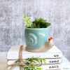 Teal Blue Snail Planter Pot