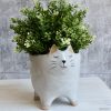 Natural White Cat with Tail Planter Pot